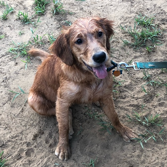 Meet your seller/buyer! - Picture 5 of 9